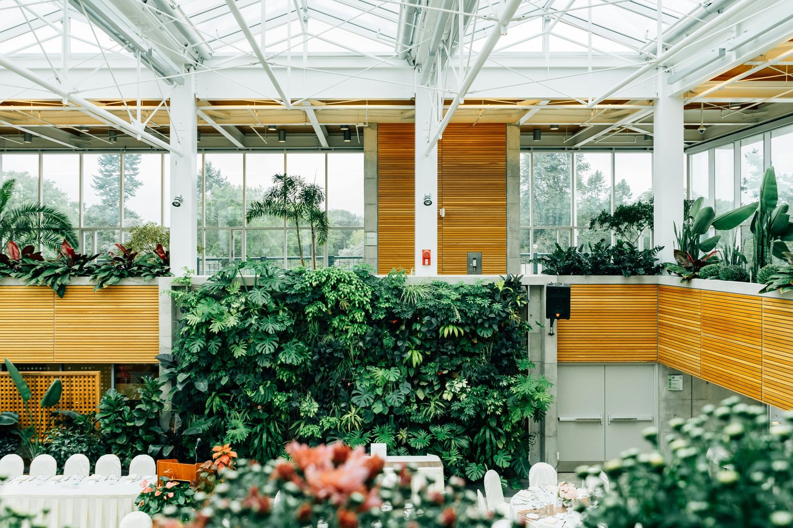 A contemporary indoor setting with lush green plants and wooden accents, showcasing modern botanical design.